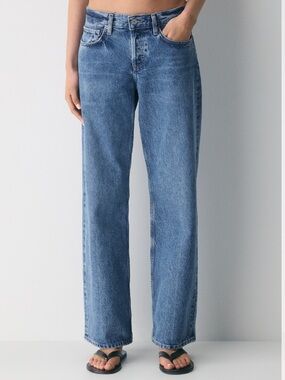 Agolde Low Rise Loose Jeans in Charge